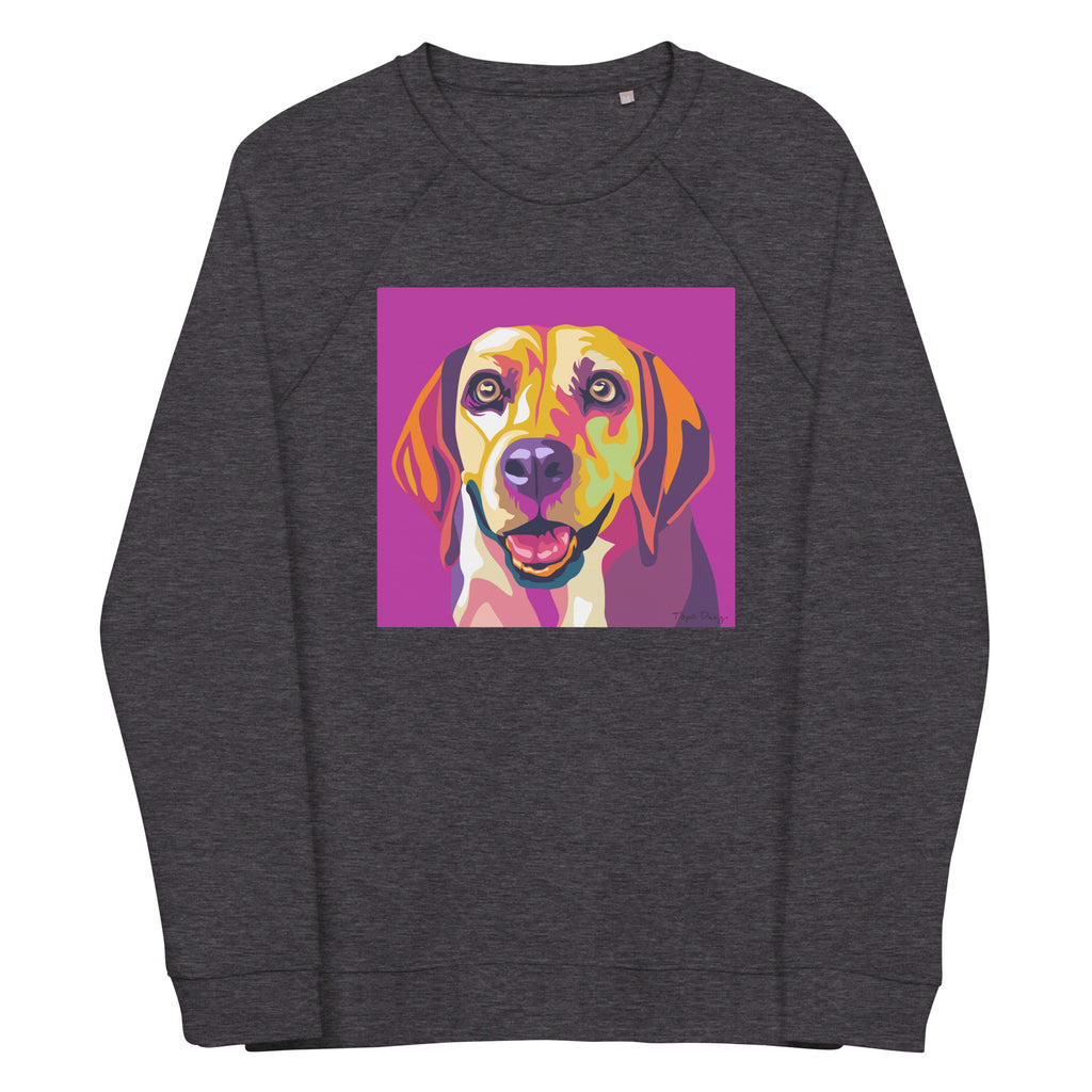 Beagle Collegepaita, Pop Art
