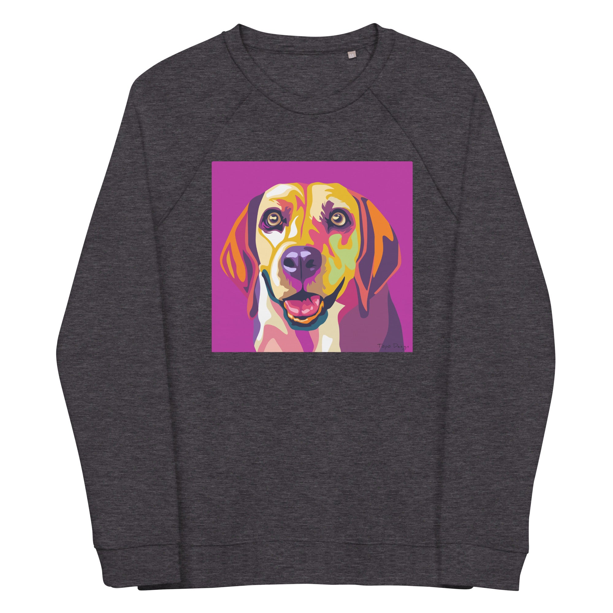 Beagle Collegepaita, Pop Art