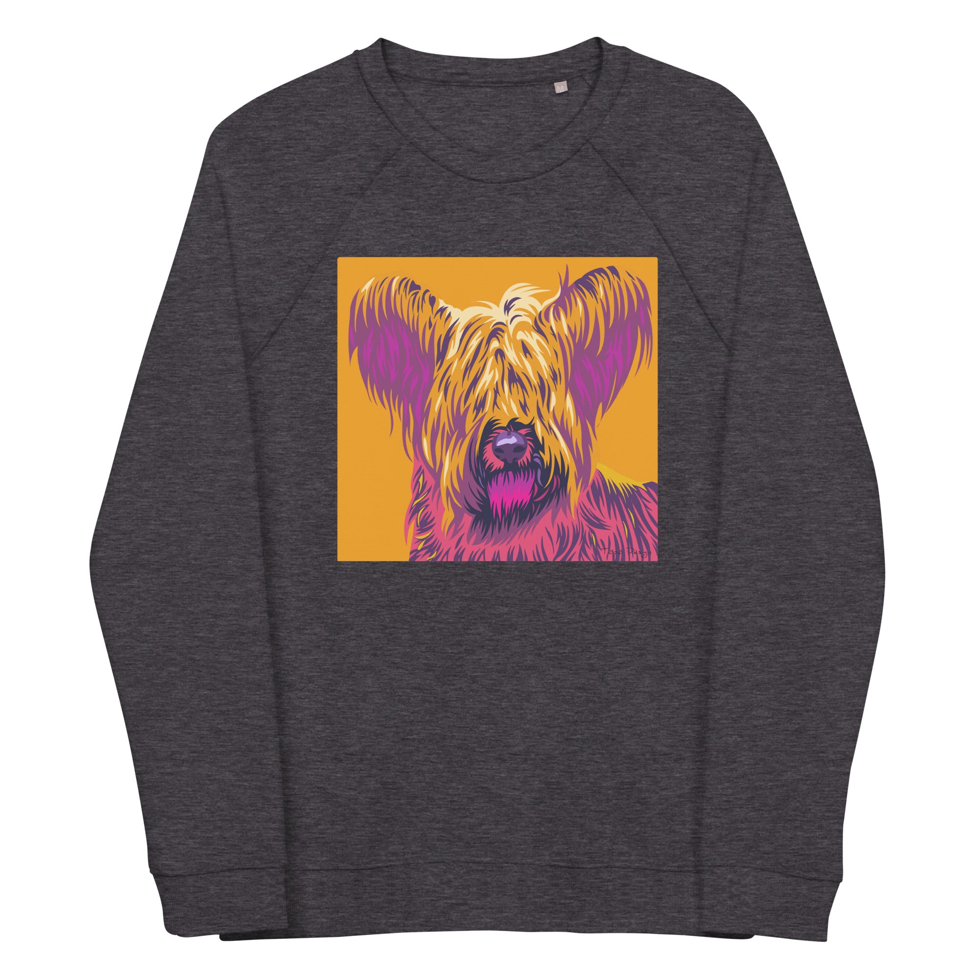 Skyenterrieri Collegepaita, Pop Art