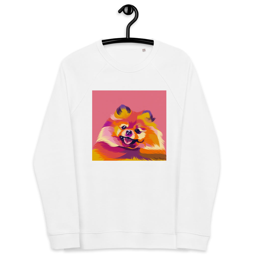 Pomeranian Collegepaita, Pop Art