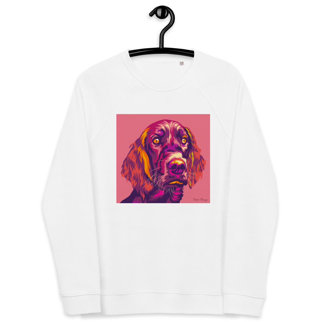 Irlannin setteri Collegepaita, Pop Art