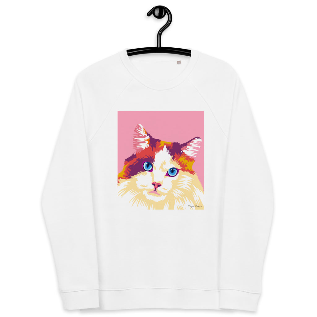 Ragdoll Collegepaita, Pop Art