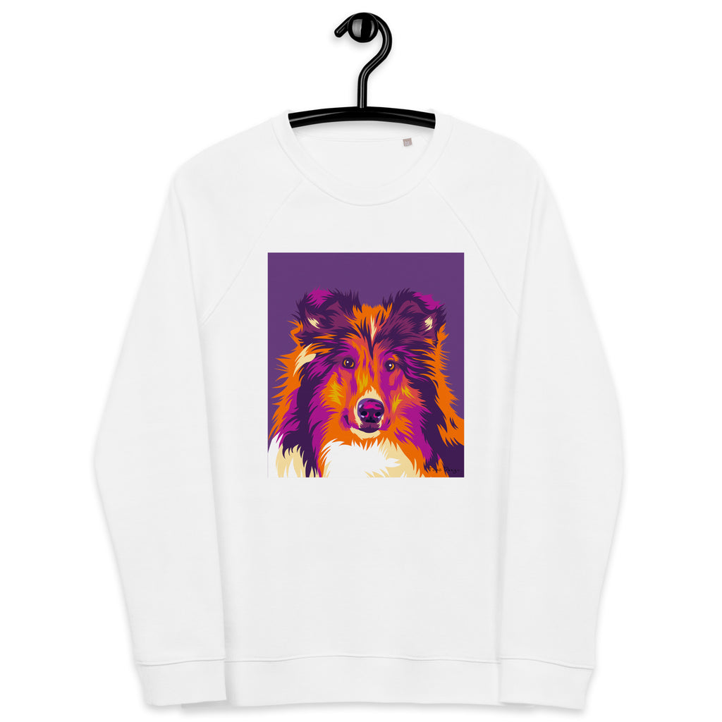 Collie Collegepaita, Pop Art