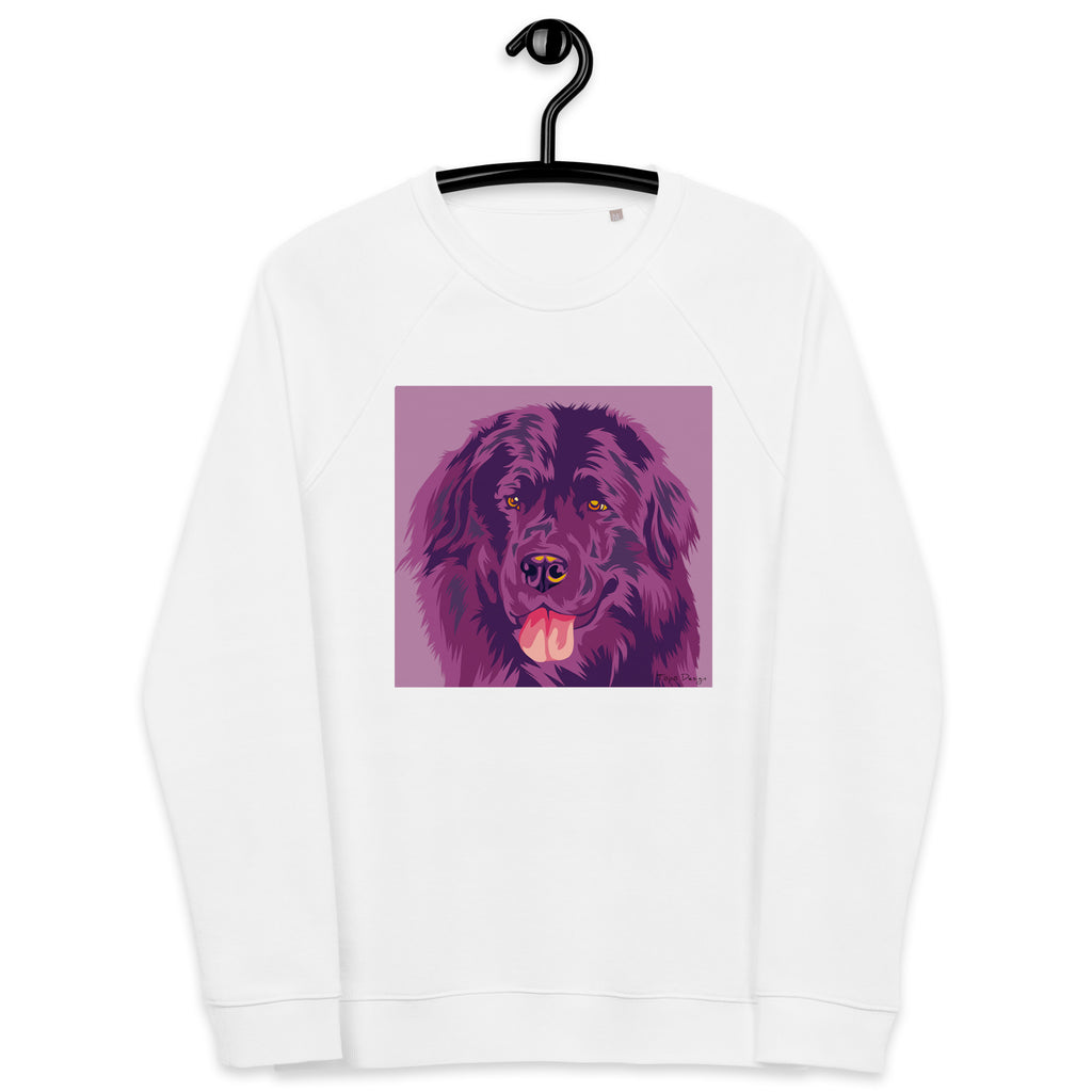 Newfoundlandinkoira Collegepaita, Pop Art