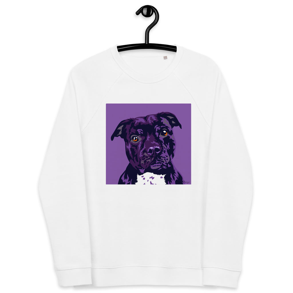 Staffi Collegepaita, Pop Art