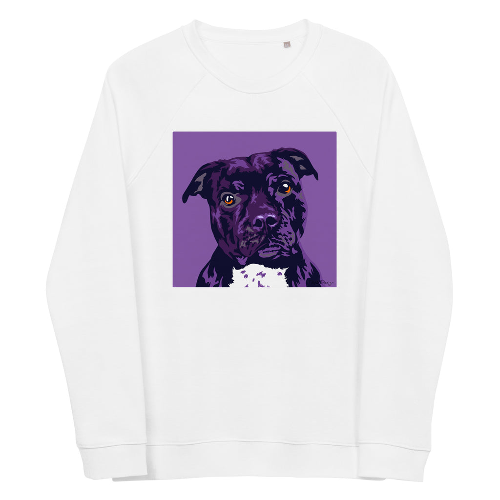 Staffi Collegepaita, Pop Art