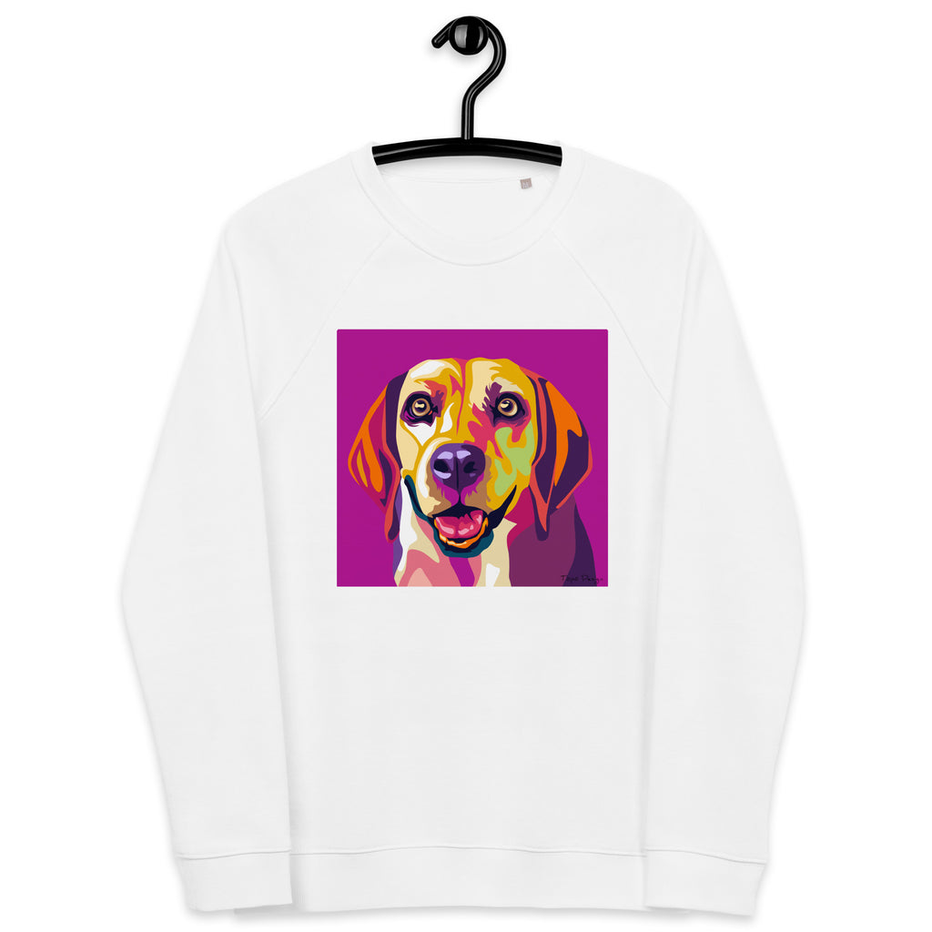 Beagle Collegepaita, Pop Art