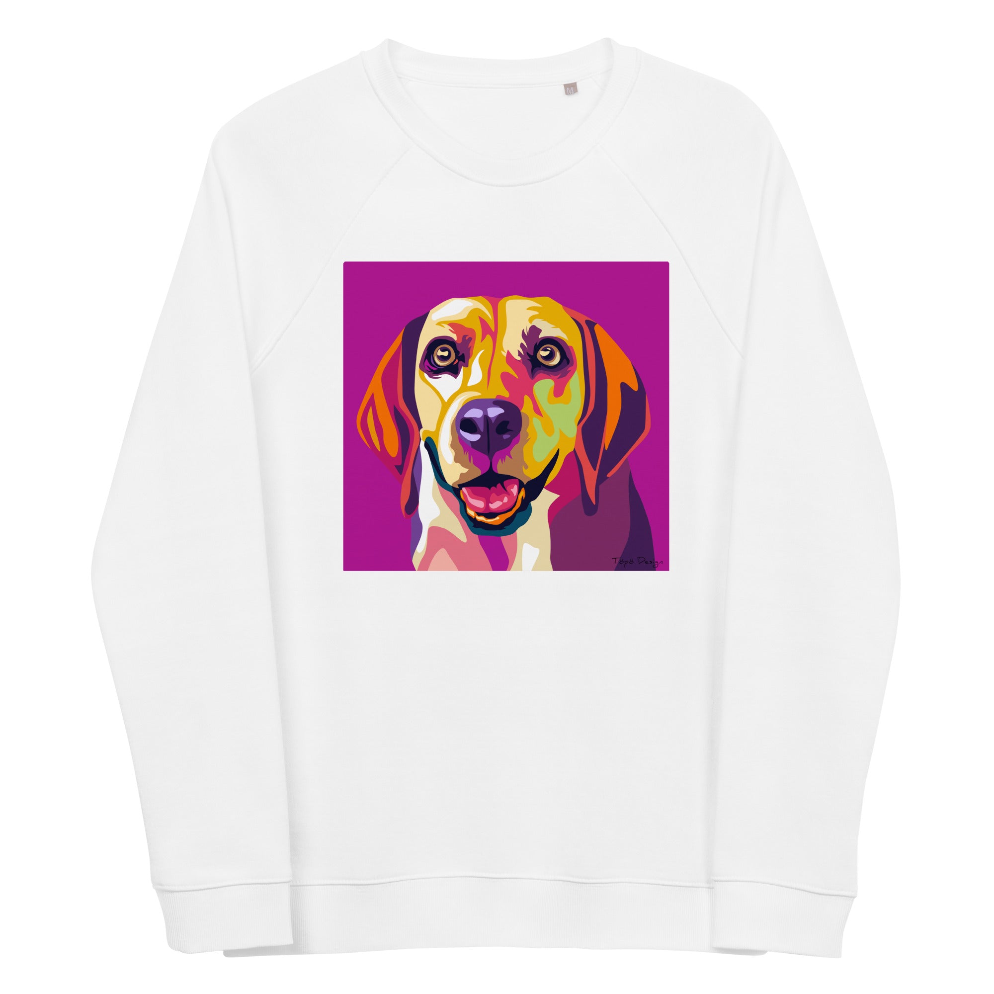 Beagle Collegepaita, Pop Art