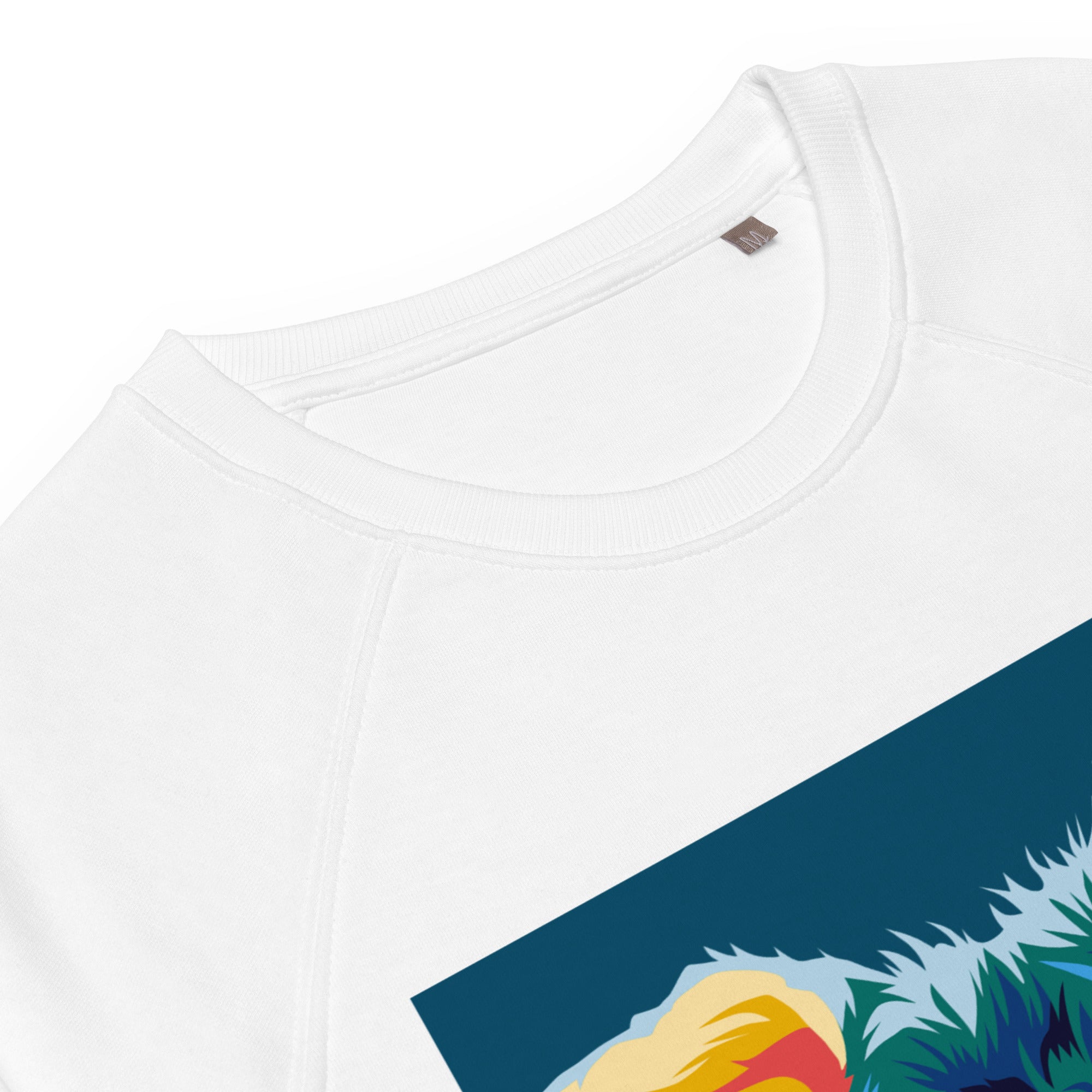 Snautseri Collegepaita, Pop Art